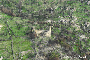 Ropidera (Conflent)